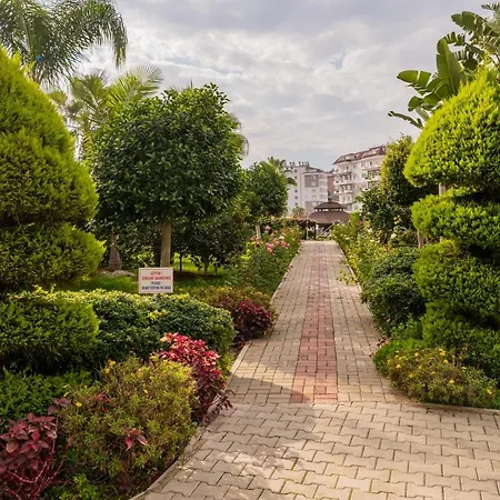 Orion Resort Residence Avsallar